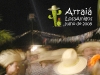 ArraiÃ¡ 2008