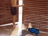 Carnaval 1999